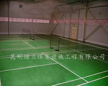 省政協(xié)羽毛球館工程